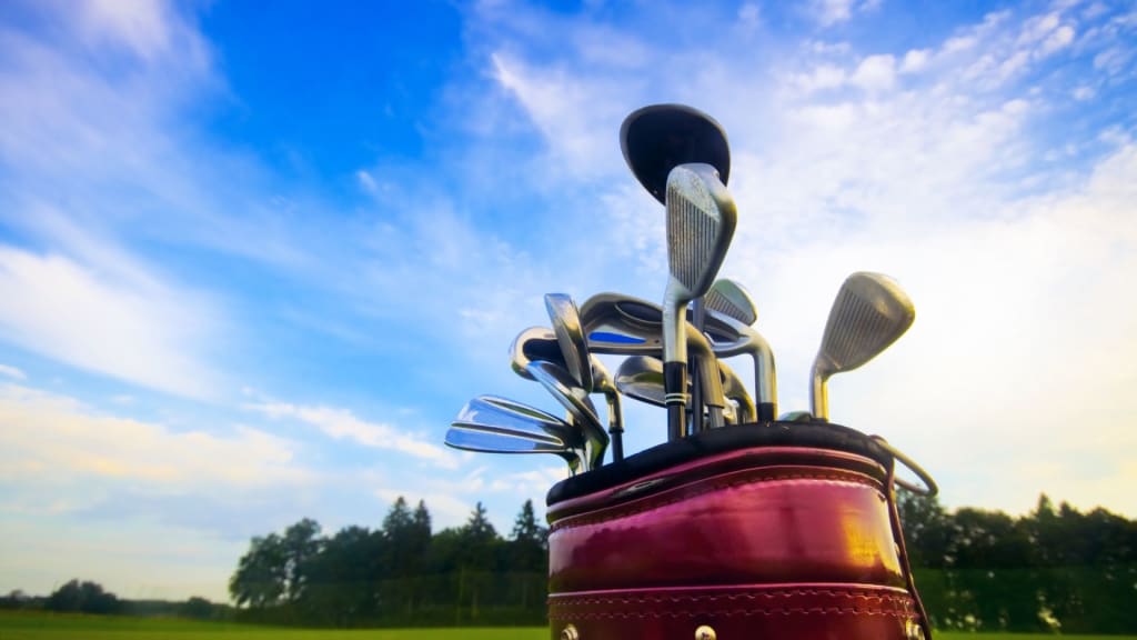 A golf bag filled with clubs stands against a blue sky with some clouds. Trees and a grassy field are in the background.